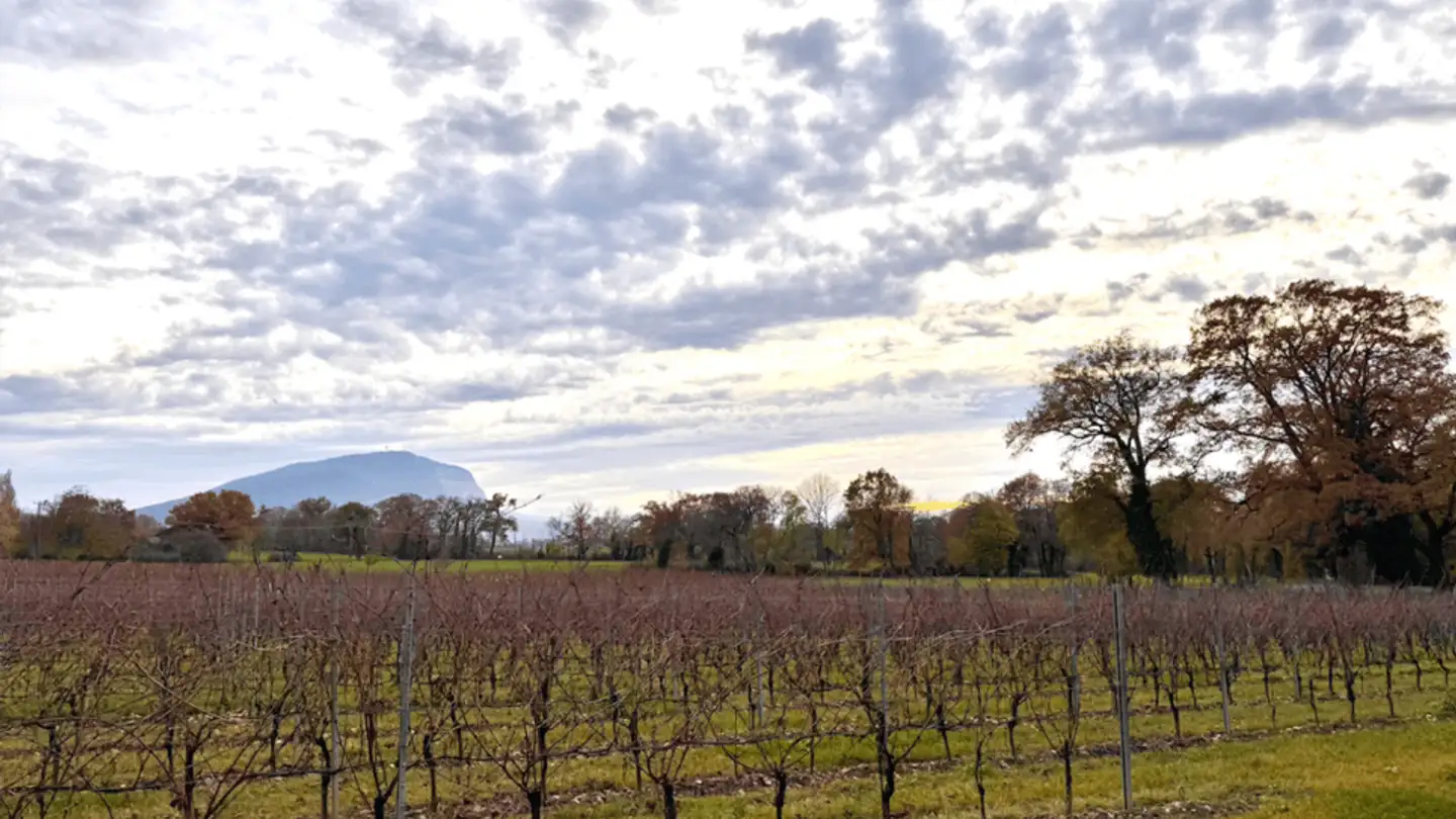 Maison individuelle à vendre - 1243 Presinge - Photo 4