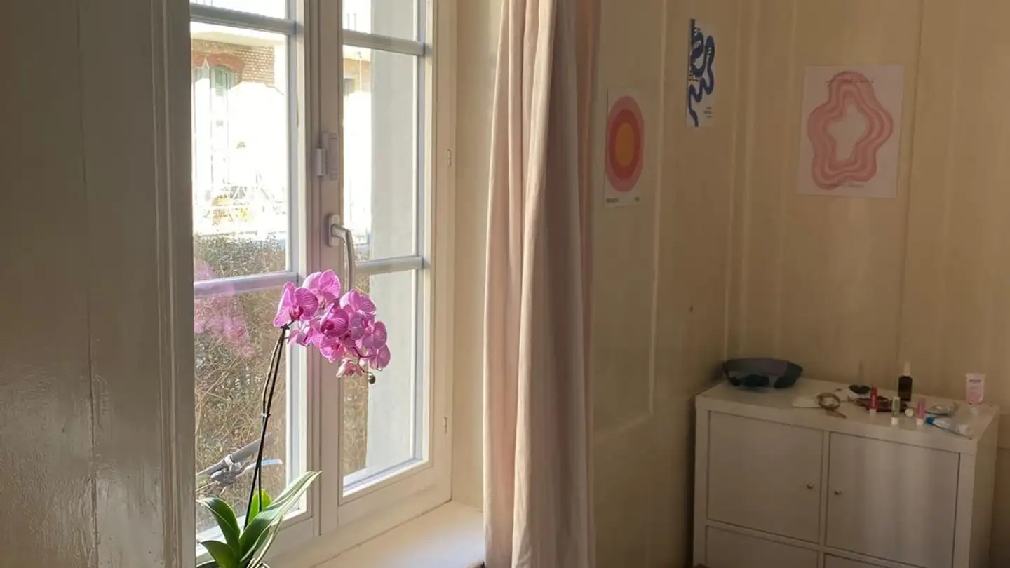 Single room for rent - 8406 Winterthur - Photo 2