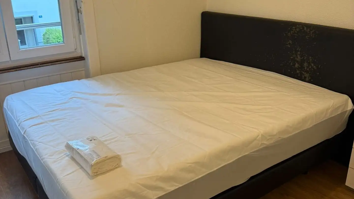 Appartamento ammobiliato in affitto - Giessliweg 68, 4057 Basel - Foto 4