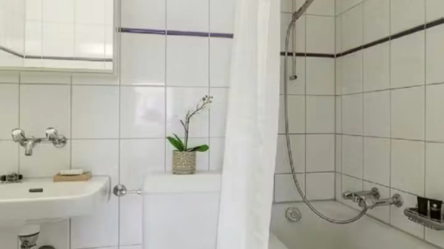 Apartment for rent - Friesstrasse, 8050 Zürich - Photo 2