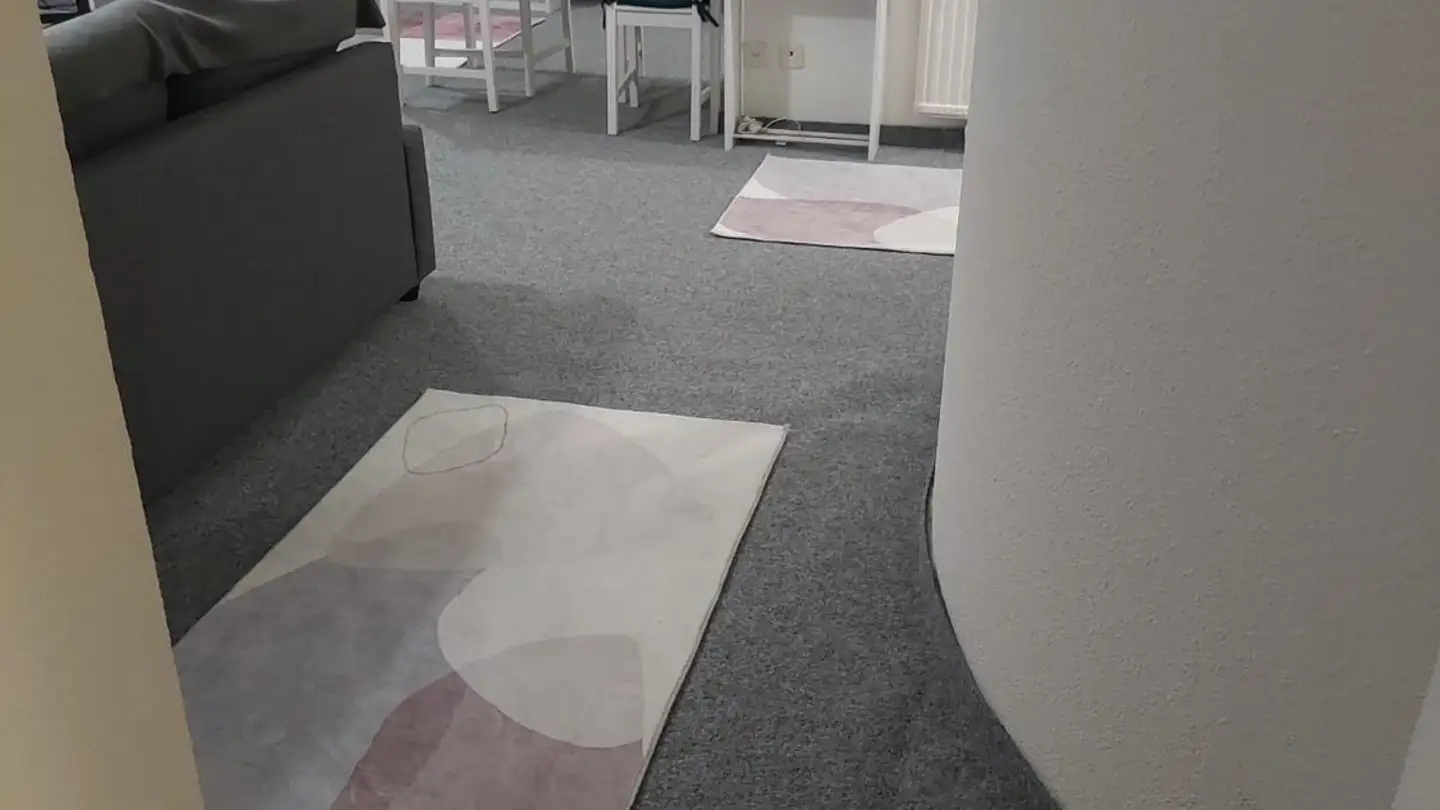 Appartement à louer - Chemin Du Croset 6, 1024 Ecublens VD - Photo 4