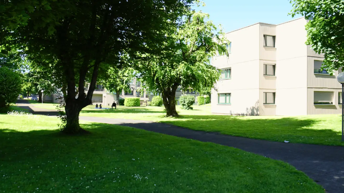 Dachgeschosswohnung kaufen - Schäfligrabenstrasse 17, 8304 Wallisellen - Foto 4