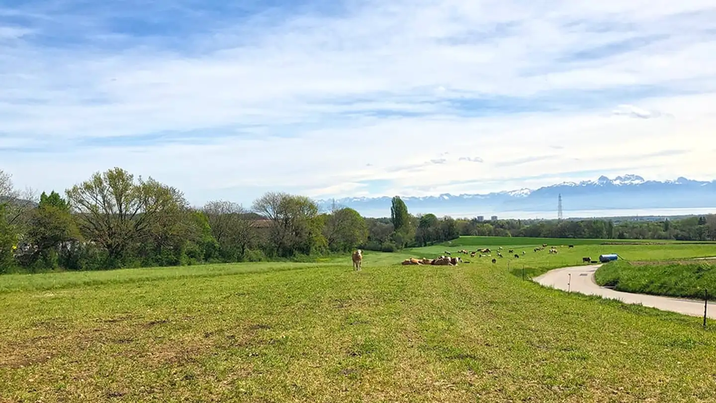 Villa à vendre - 1271 Givrins