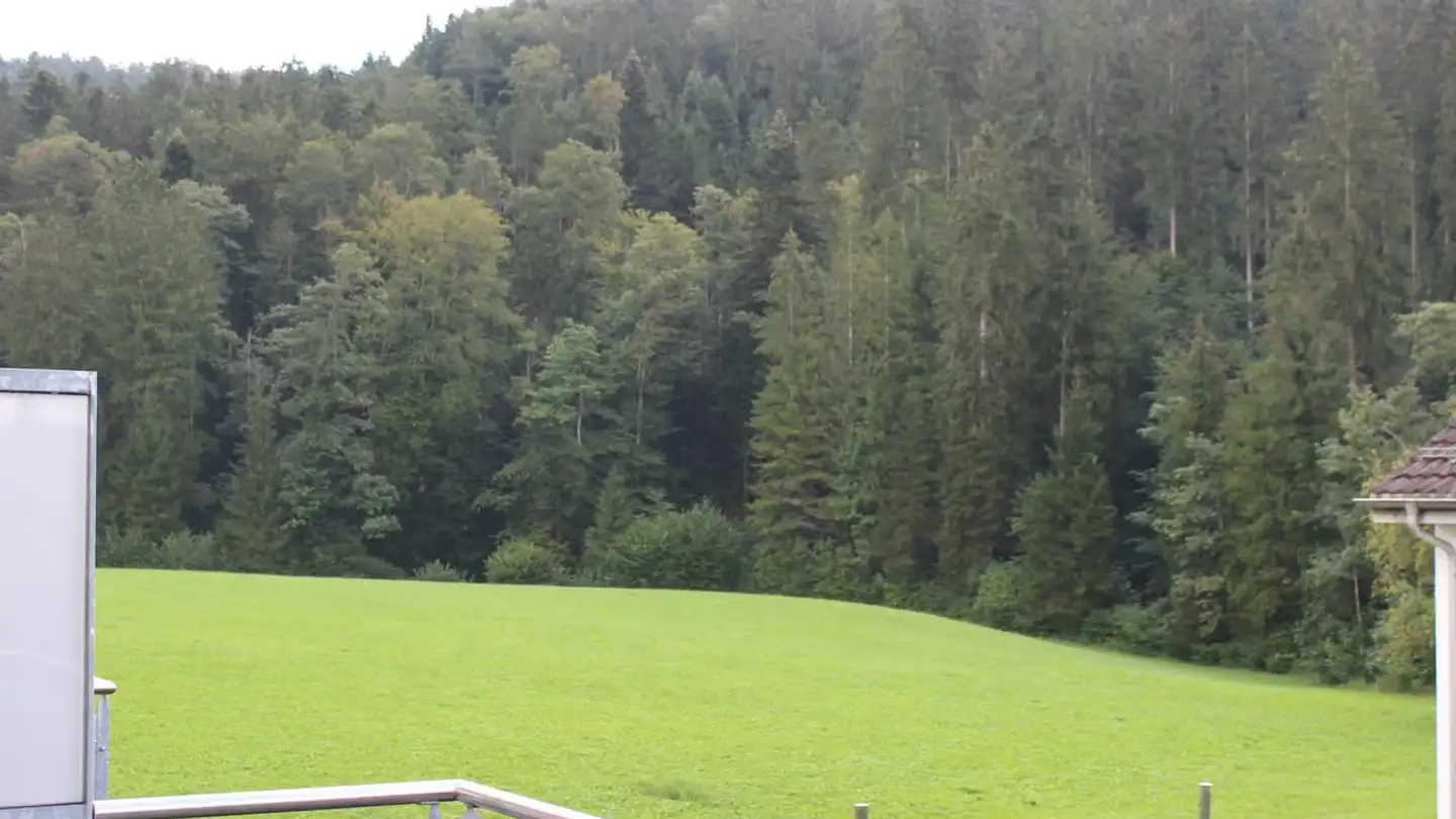 Apartment for rent - Schützenweg 3, 8488 Turbenthal - Photo 3