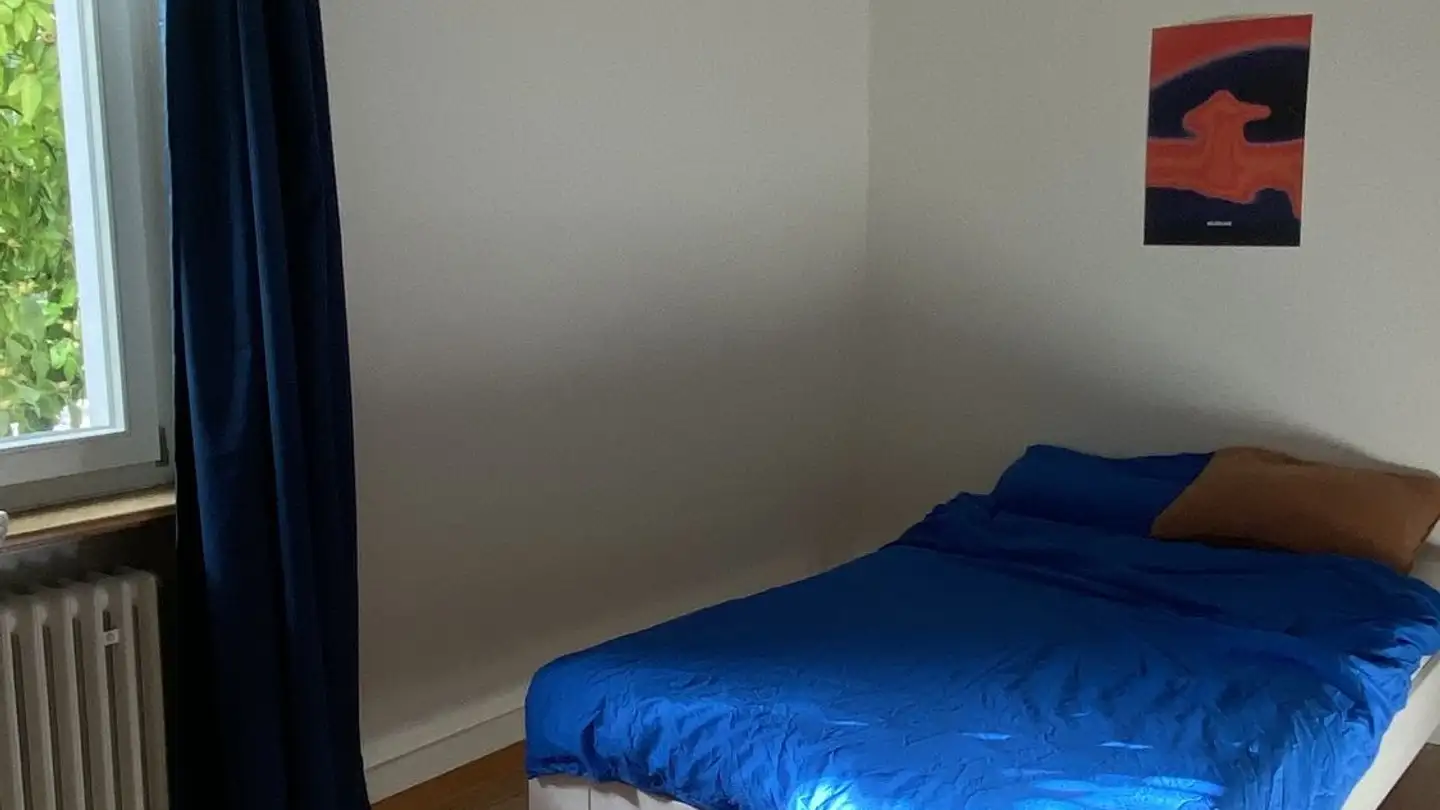 Appartamento in affitto - Bürglistrasse 9, 8400 Winterthur - Foto 4