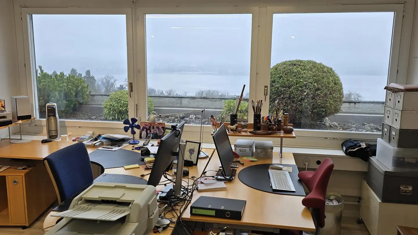 Spazio ufficio in affitto - Holzmoosrütistrasse 48, 8820 Wädenswil - Foto 2