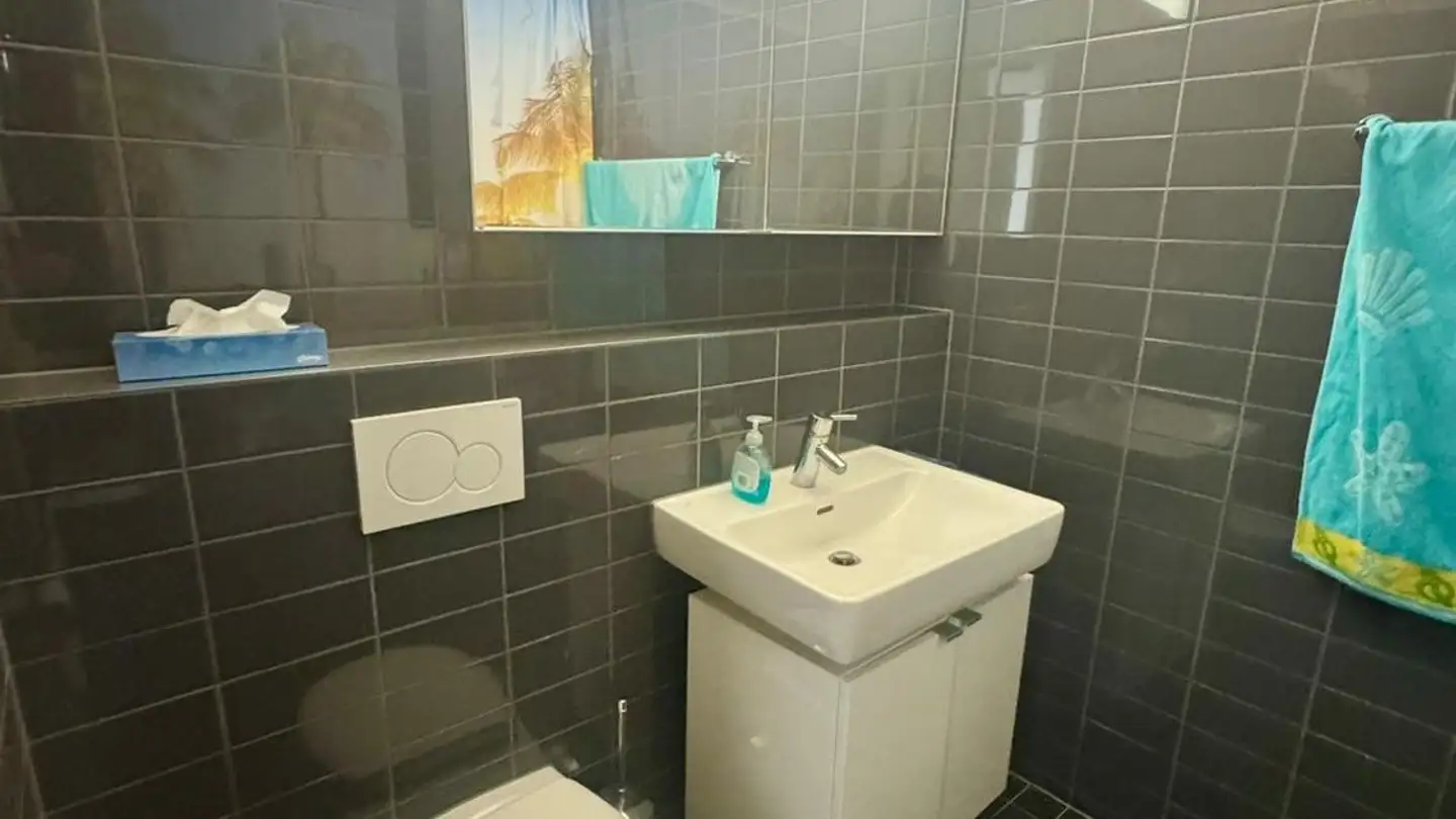 Wohnung mieten - Pfingstweidstrasse 104e, 8005 Zürich - Foto 4