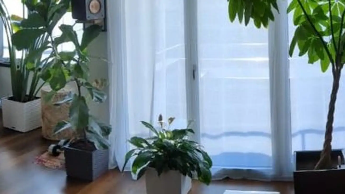Wohnung mieten - Pfingstweidstrasse 104e, 8005 Zürich