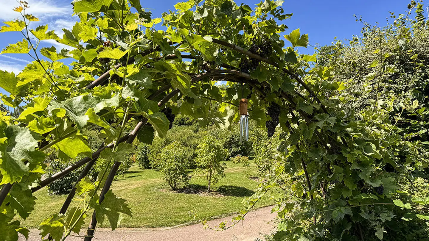 Fattoria in vendita - 1066 Epalinges - Foto 2