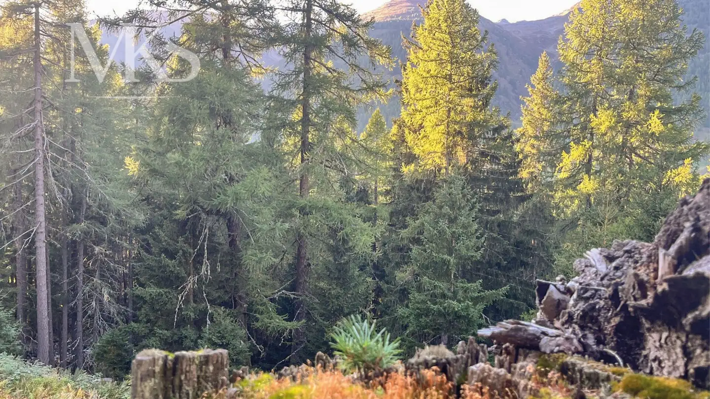 Casa singola in vendita - 3985 Münster VS - Photo 4