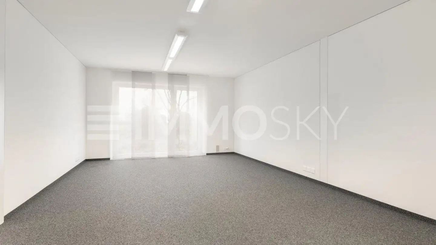 Commercial for sale - 9422 Staad SG - Photo 3