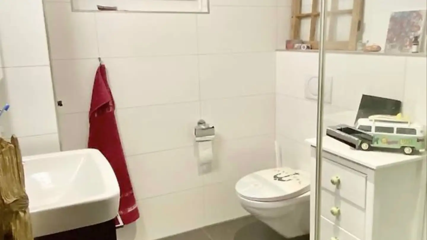 Single room for rent - Merlachfeld, 3280 Murten - Photo 4