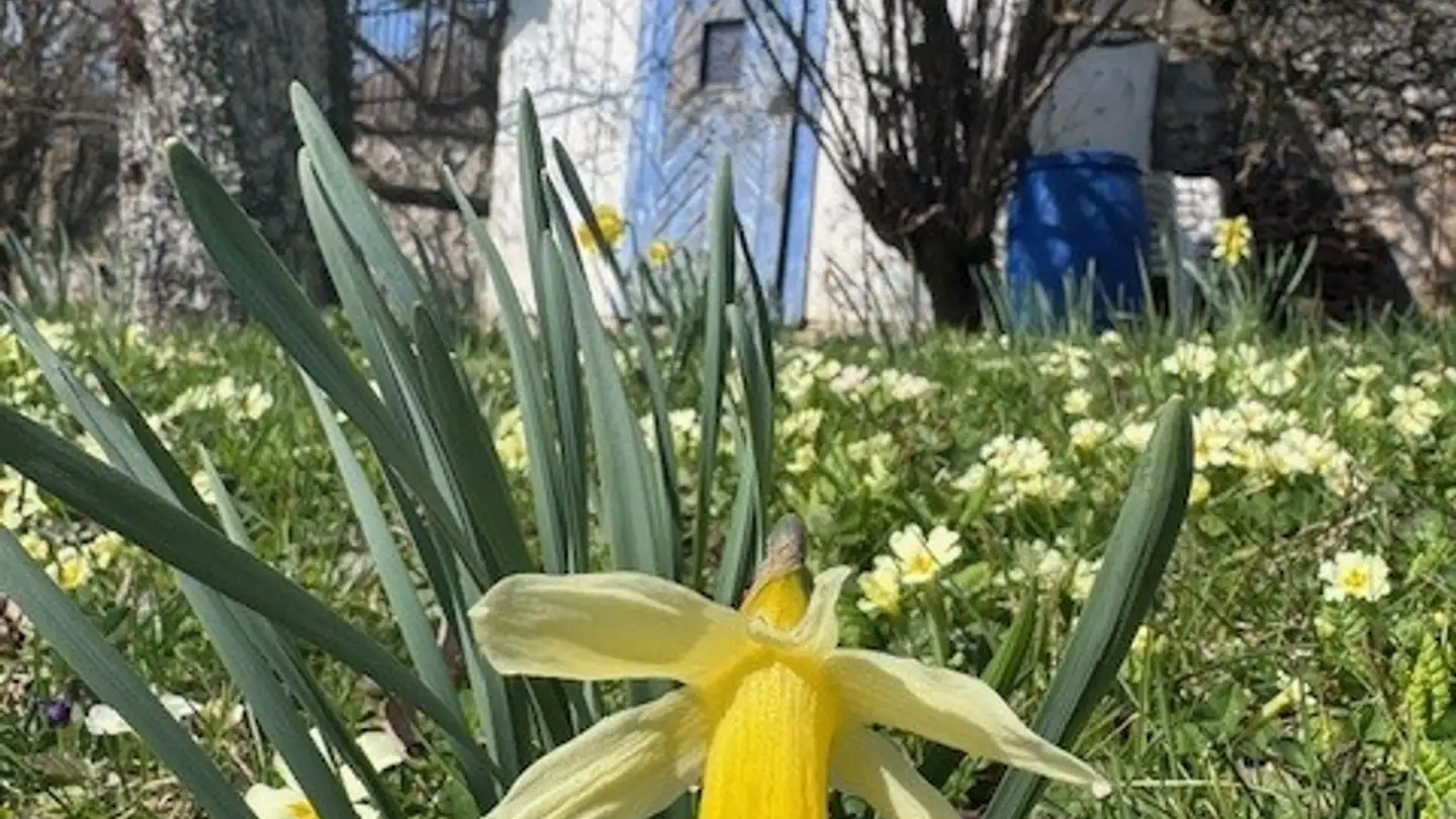 Maison individuelle à vendre - Rue De Bellevue 25, 2052 Fontainemelon - Photo 3