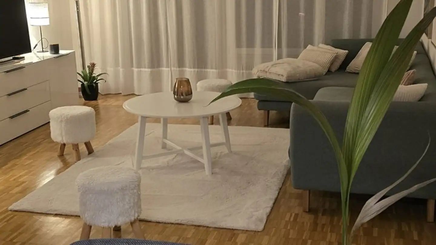 Appartamento ammobiliato in affitto - Brunnenwiesenstrasse 40, 8610 Uster