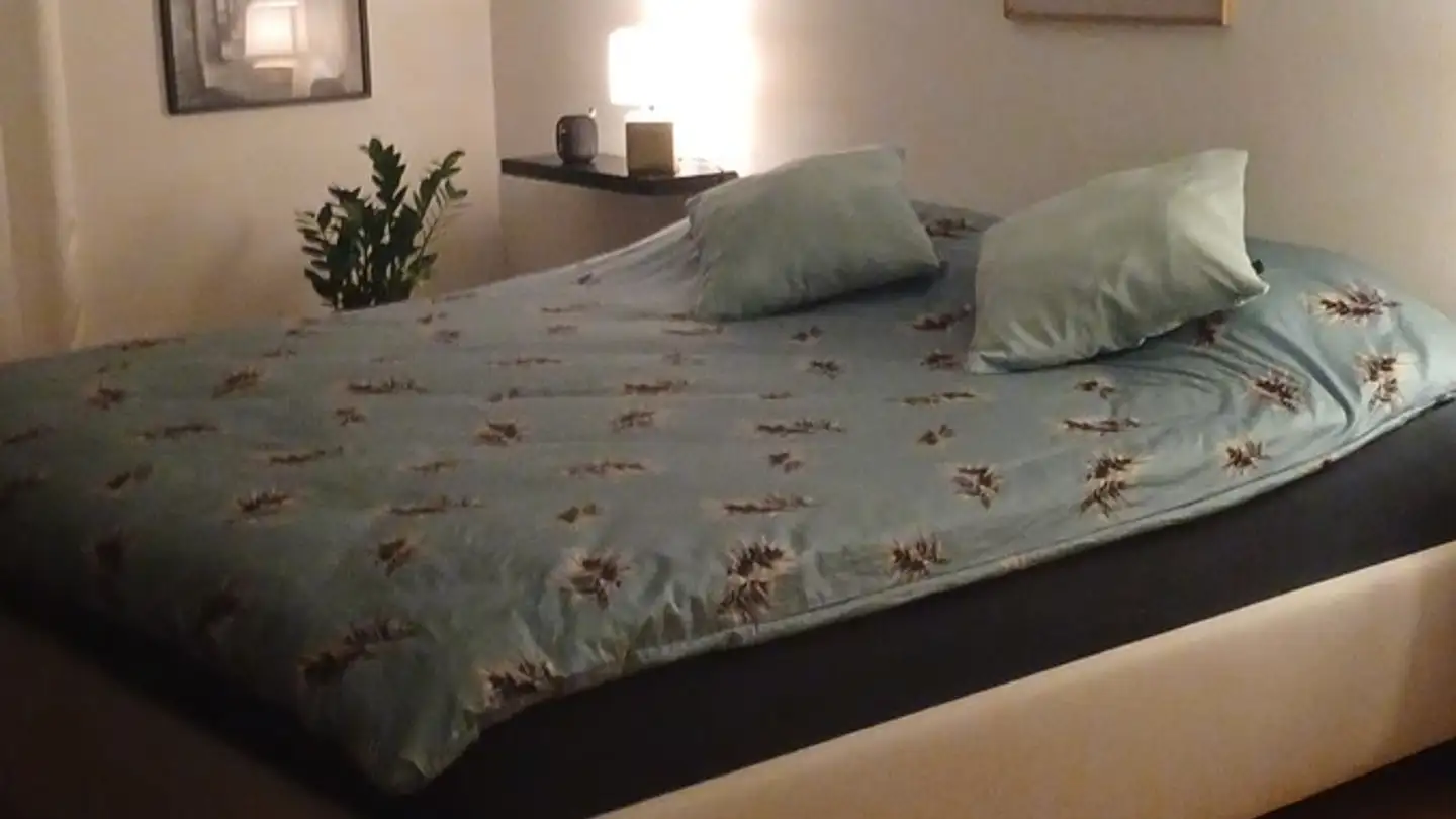 Appartamento ammobiliato in affitto - Brunnenwiesenstrasse 40, 8610 Uster - Foto 2