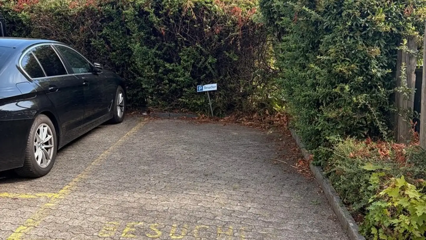 Place de parking extérieure à louer - Willikonerstrasse 52, 8618 Oetwil am See
