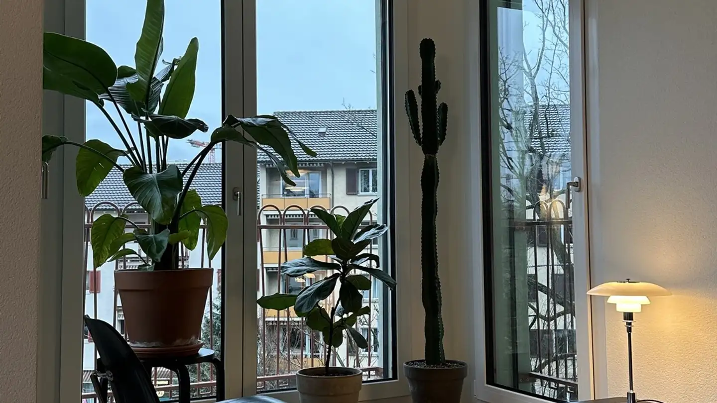 Stanza singola in affitto - Aemtlerstrasse 188, 8003 Zürich - Foto 3