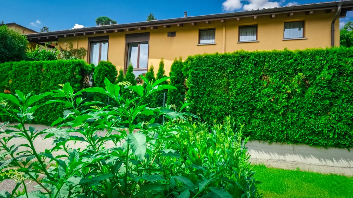 Duplex in vendita - 6932 Breganzona - Photo 2