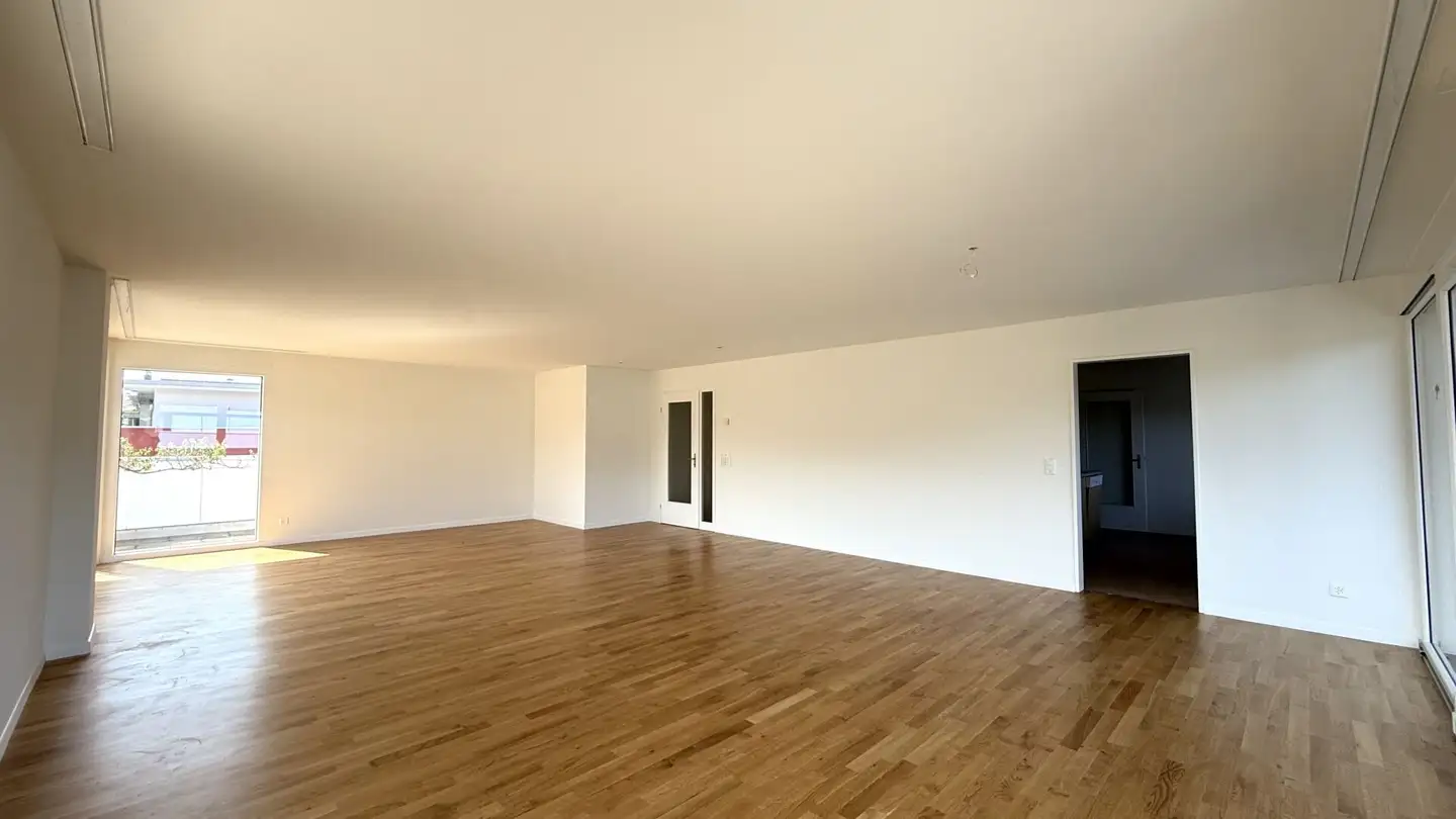 Penthouse for sale - 4147 Aesch BL - Photo 2
