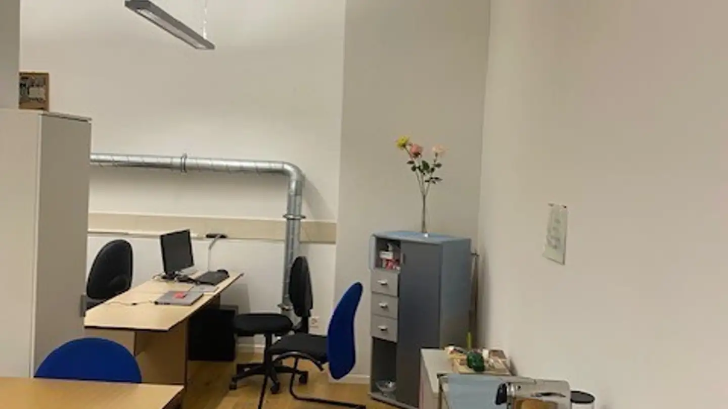 Commerciale in affitto - Hauptstrasse 19, 5200 Brugg AG - Foto 4