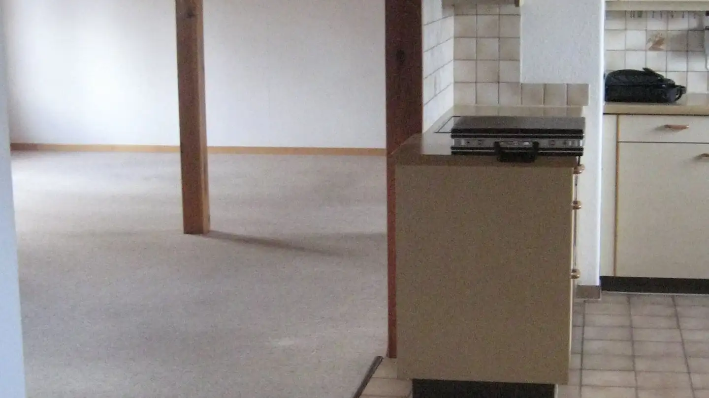 Attico in affitto - Wilerstrasse 46, 8514 Amlikon-Bissegg - Photo 3