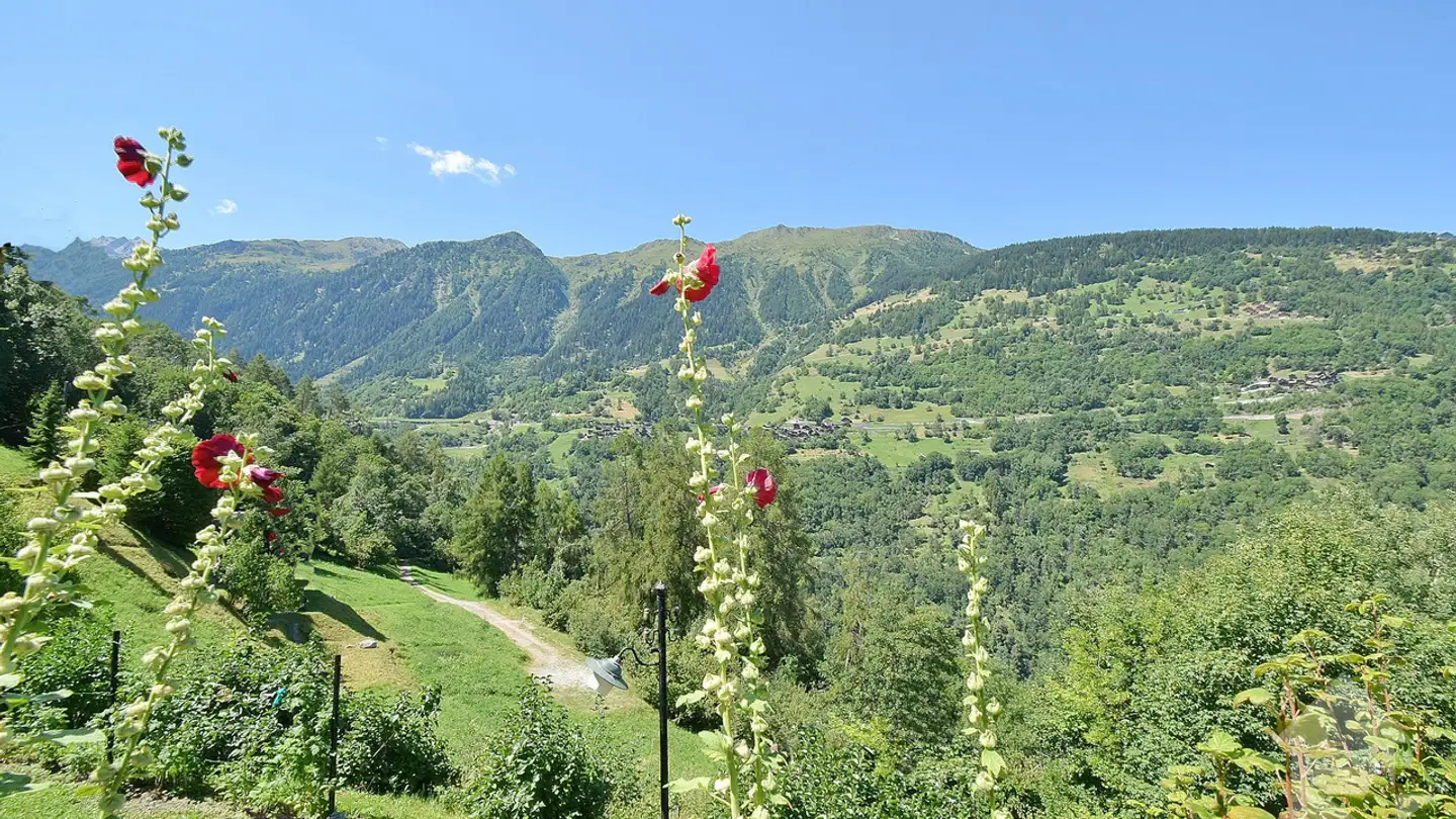 Chalet in vendita - 1982 Euseigne - Photo 3