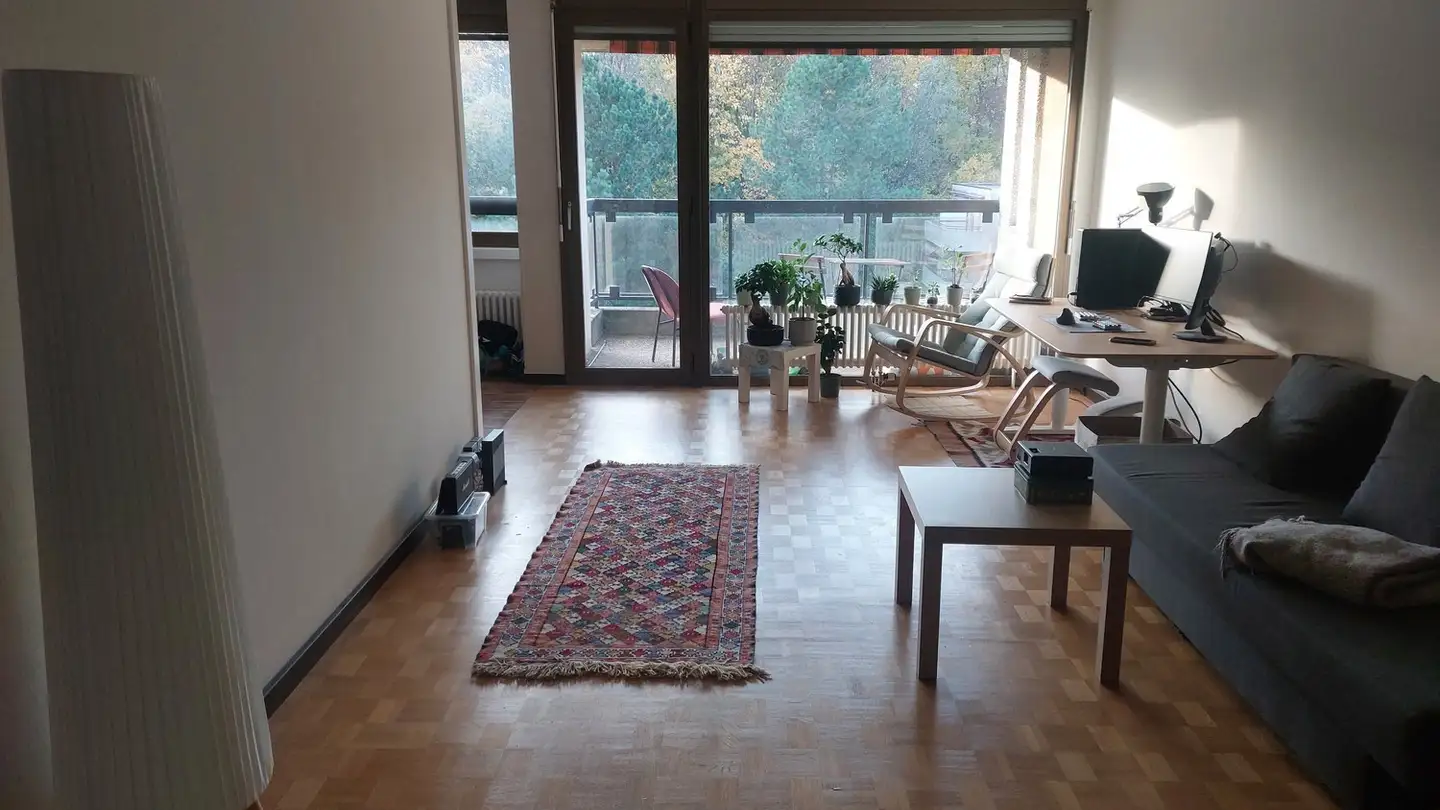 Wohnung mieten - Chemin Du Stand 17, 1024 Ecublens VD