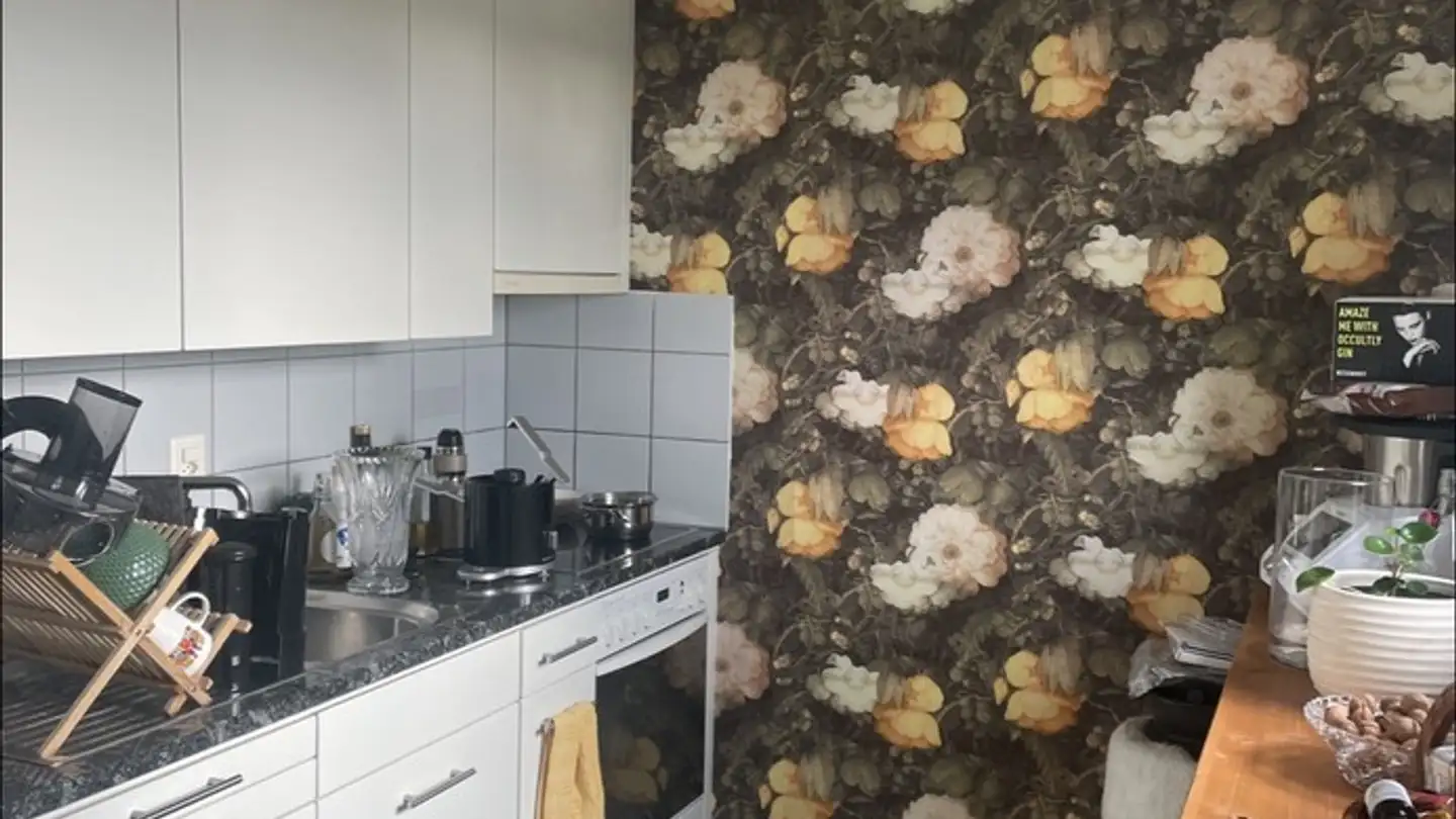 Appartamento in affitto - 6300 Zug