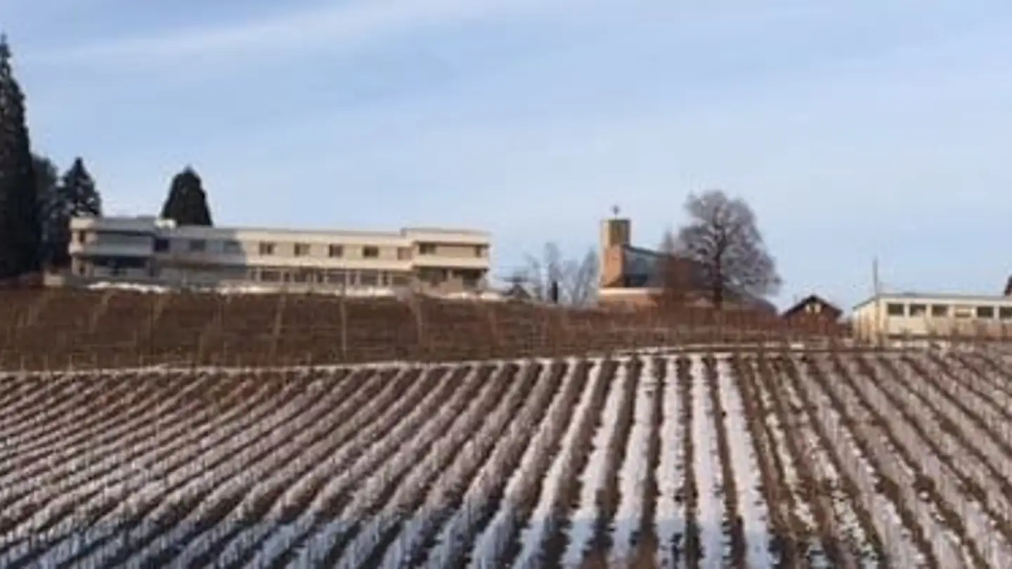 Appartamento in affitto - Herrenackerstrasse 18, 8730 Uznach - Foto 2