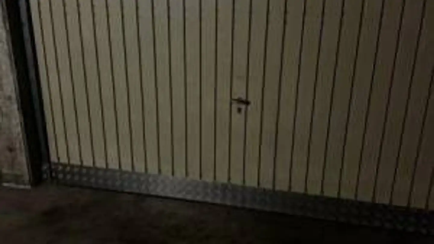 Single garage for rent - Chemin Édouard-Olivet 11, 1226 Thônex - Photo 3