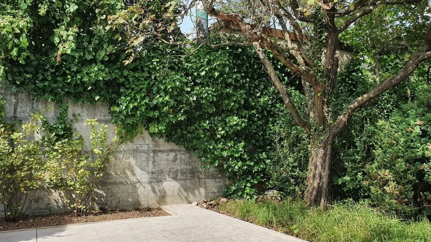 Casa a schiera in affitto - Surbekstrasse 17, 3006 Bern