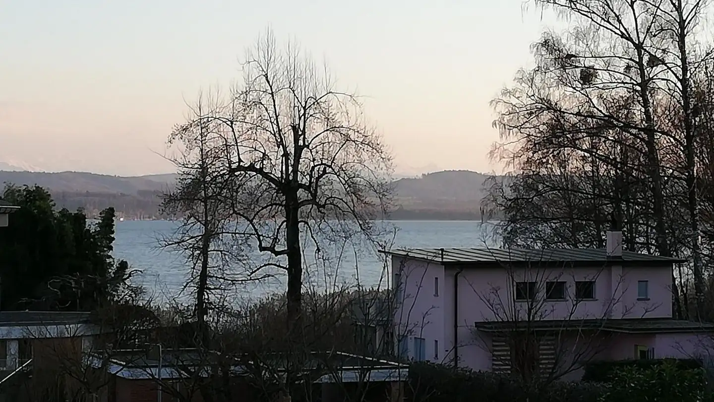 Terreno edificabile in vendita - Chemin Des Plânes, 1787 Môtier (Vully) - Foto 4