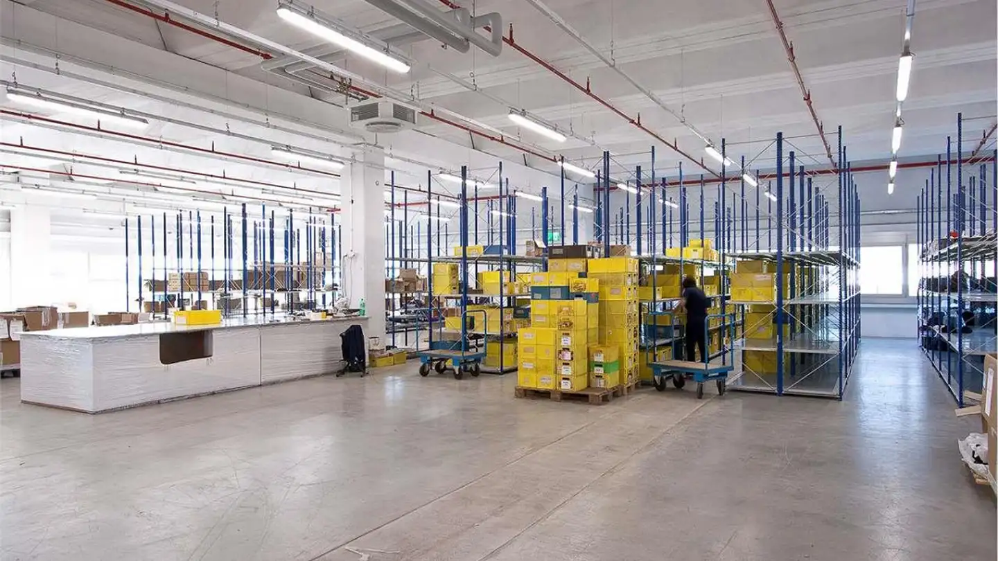 Commerciale in vendita - 6594 Contone - Photo 3