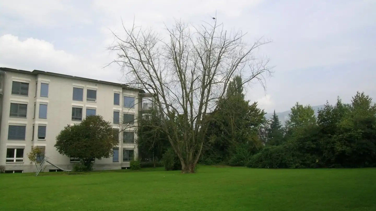 Wohnung mieten - Dorfackerstrasse 27, 4528 Zuchwil - Foto 2