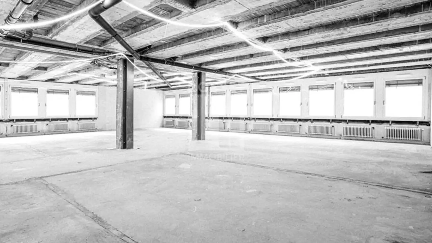 Bürofläche mieten - Rue Des Eaux-Vives 94, 1207 Genève - Foto 2