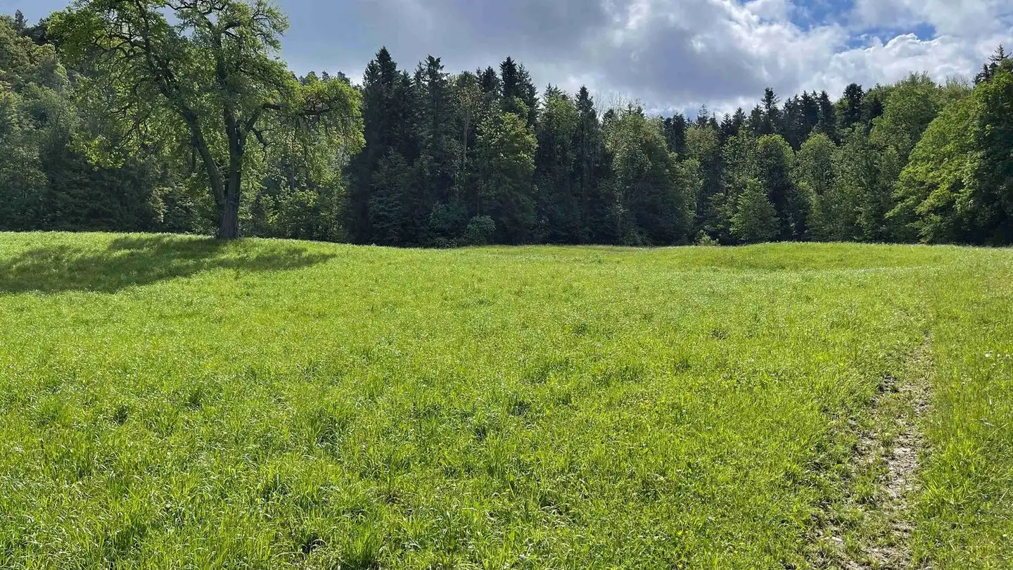 Terreno edificabile in vendita - Holweg 10, 9300 Wittenbach - Foto 4