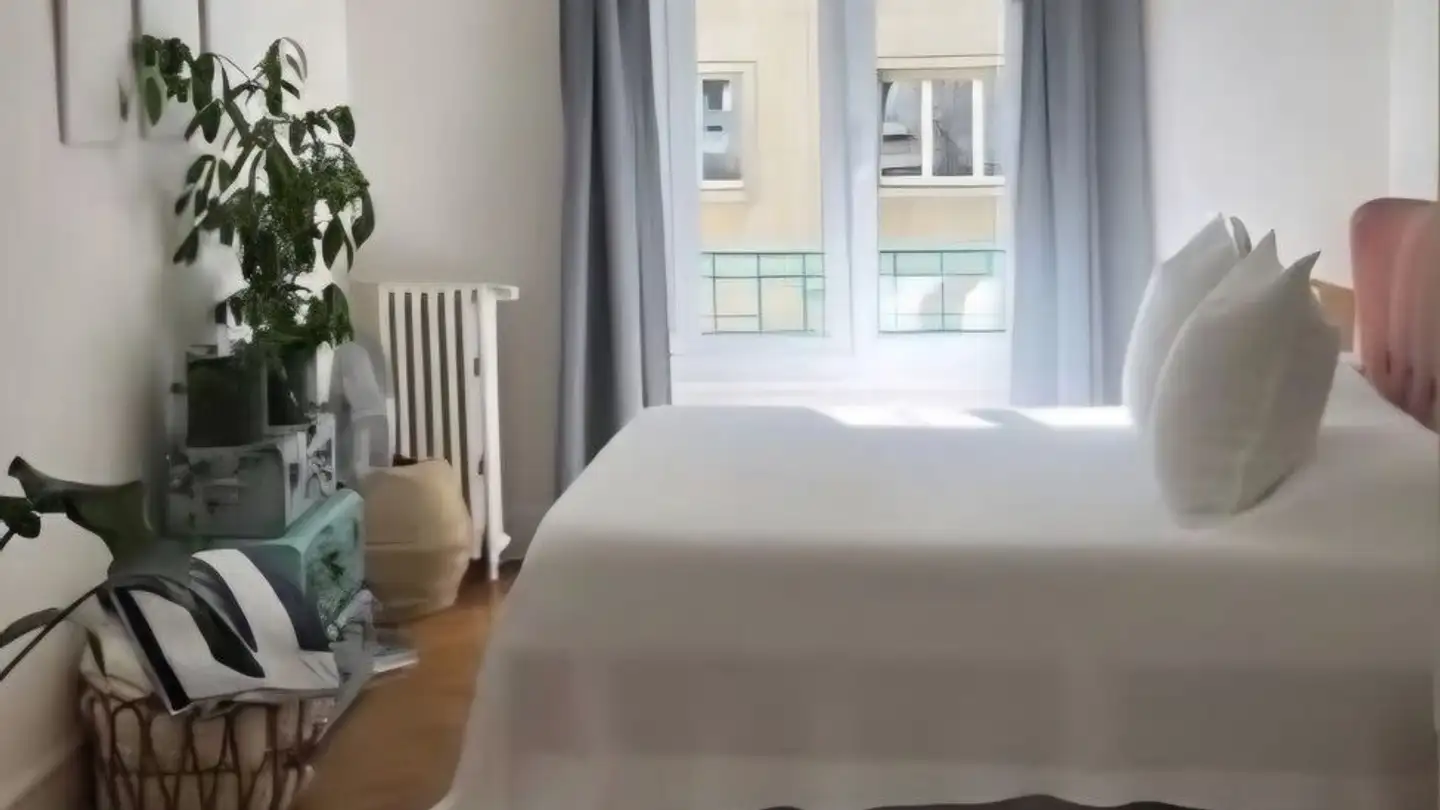 Appartement à louer - Rue Des Délices, 1203 Genève - Photo 4