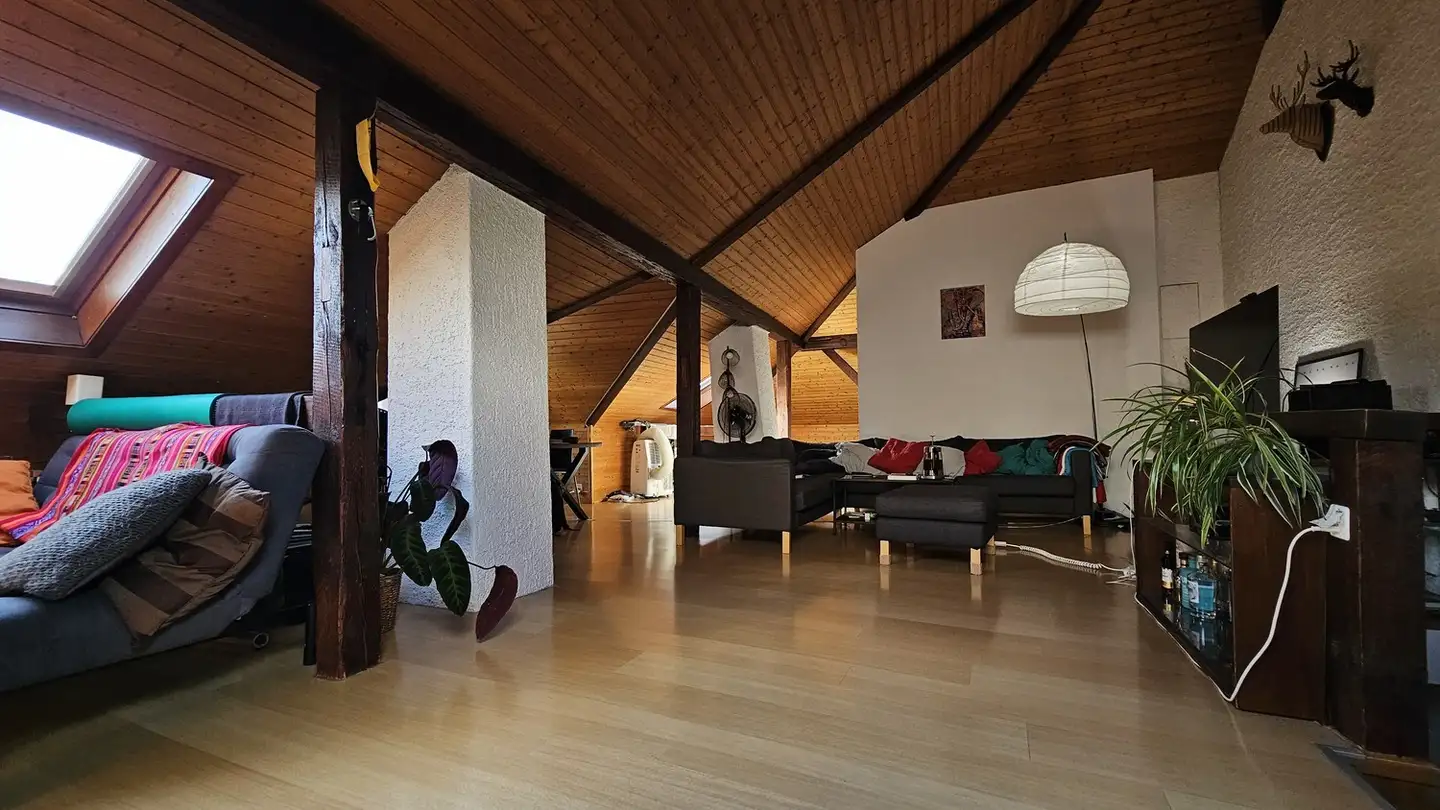 Single room for rent - Gundeldingerstrasse 191, 4053 Basel - Photo 3