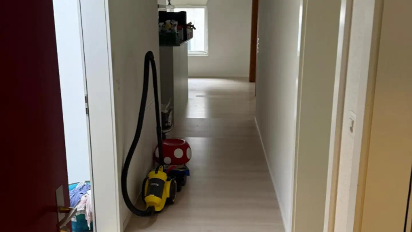 Penthouse for rent - Bremgartnerstrasse 10, 8003 Zürich