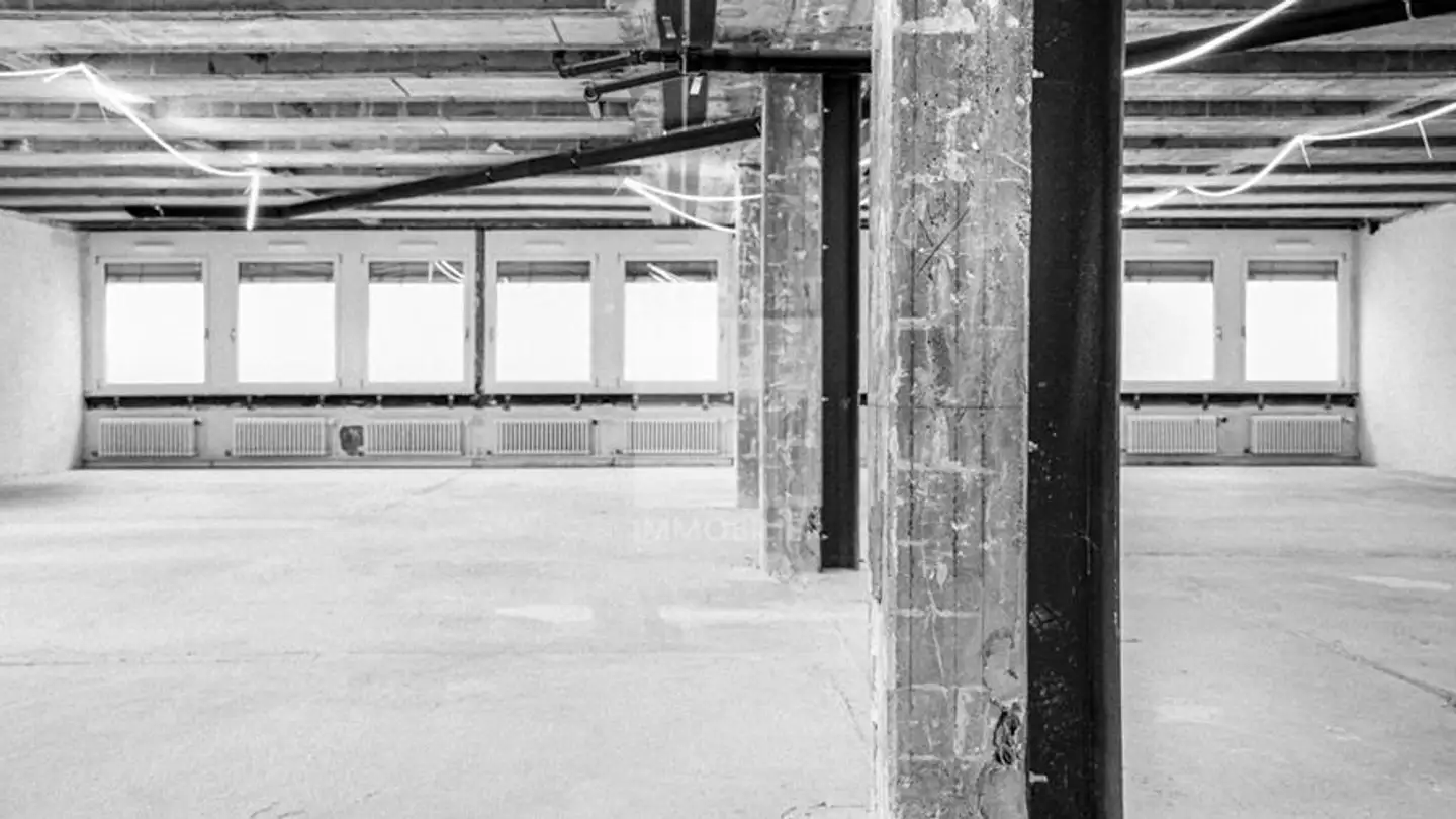 Bürofläche mieten - Rue Des Eaux-Vives 94, 1207 Genève - Foto 4