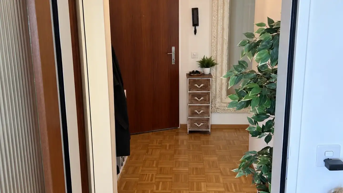Appartamento in affitto - Waldstrasse 12, 4410 Liestal - Foto 3