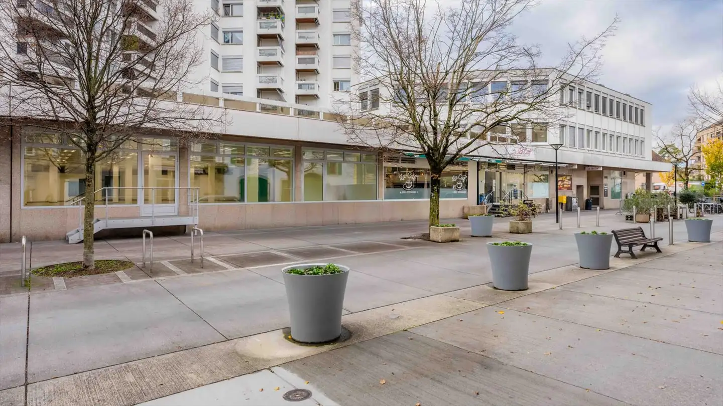 Portico in affitto - Rue Peillonnex 8, 1225 Chêne-Bourg - Foto 3