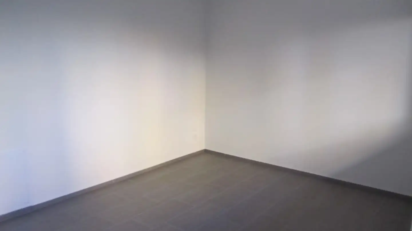 Workshop for rent - Winkelstrasse 16, 5734 Reinach AG - Photo 2