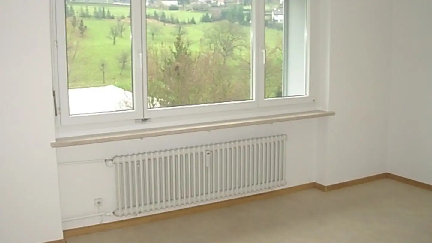 Appartamento in affitto - Kesselweg, 4410 Liestal - Foto 3