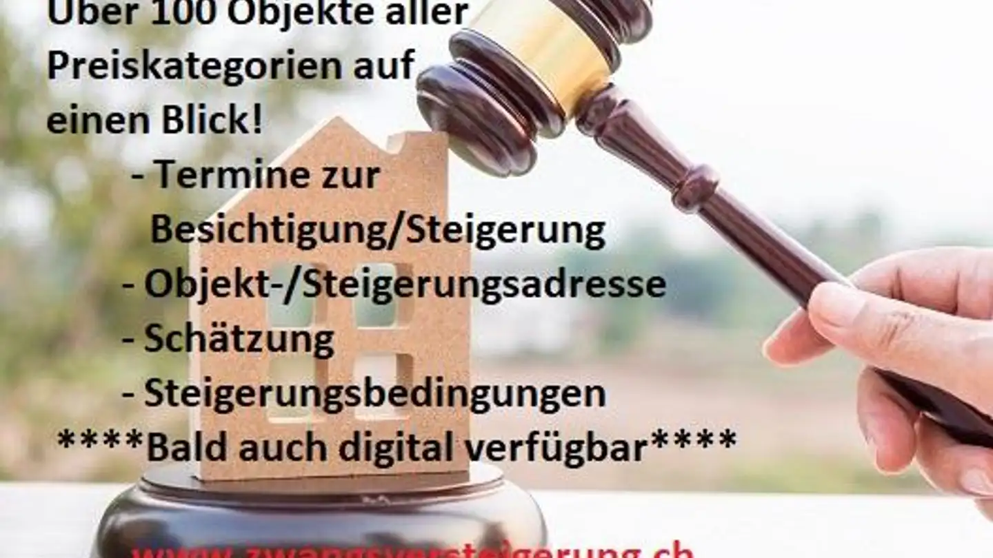 Geschäft kaufen - Murackerstrasse, 5600 Lenzburg - Foto 3