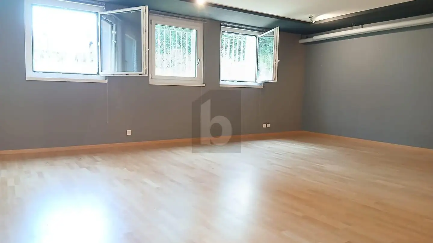 Negozio in affitto - 8603 Schwerzenbach - Photo 3