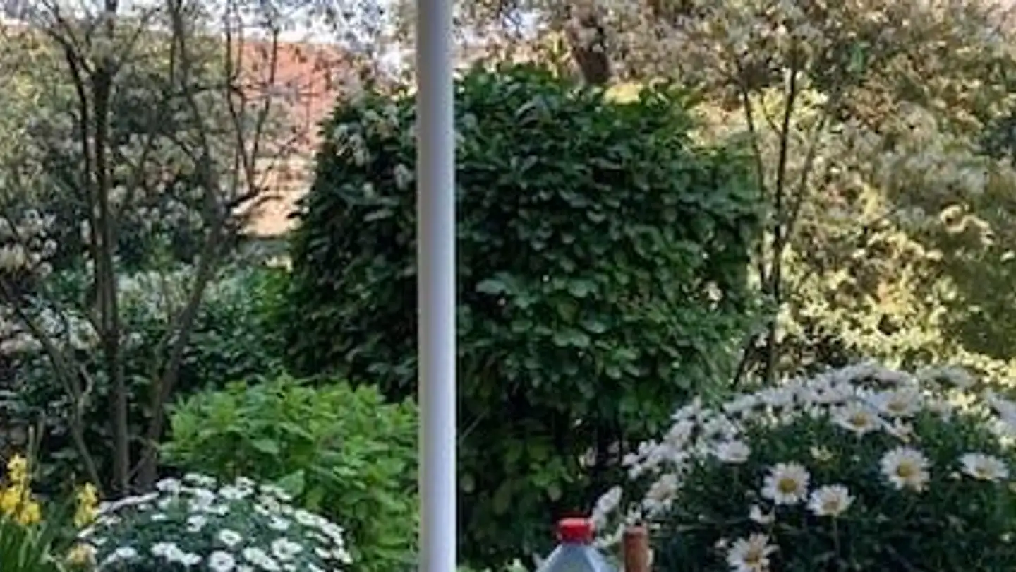 Apartment for rent - Münchsteig 1, 8008 Zürich - Photo 2