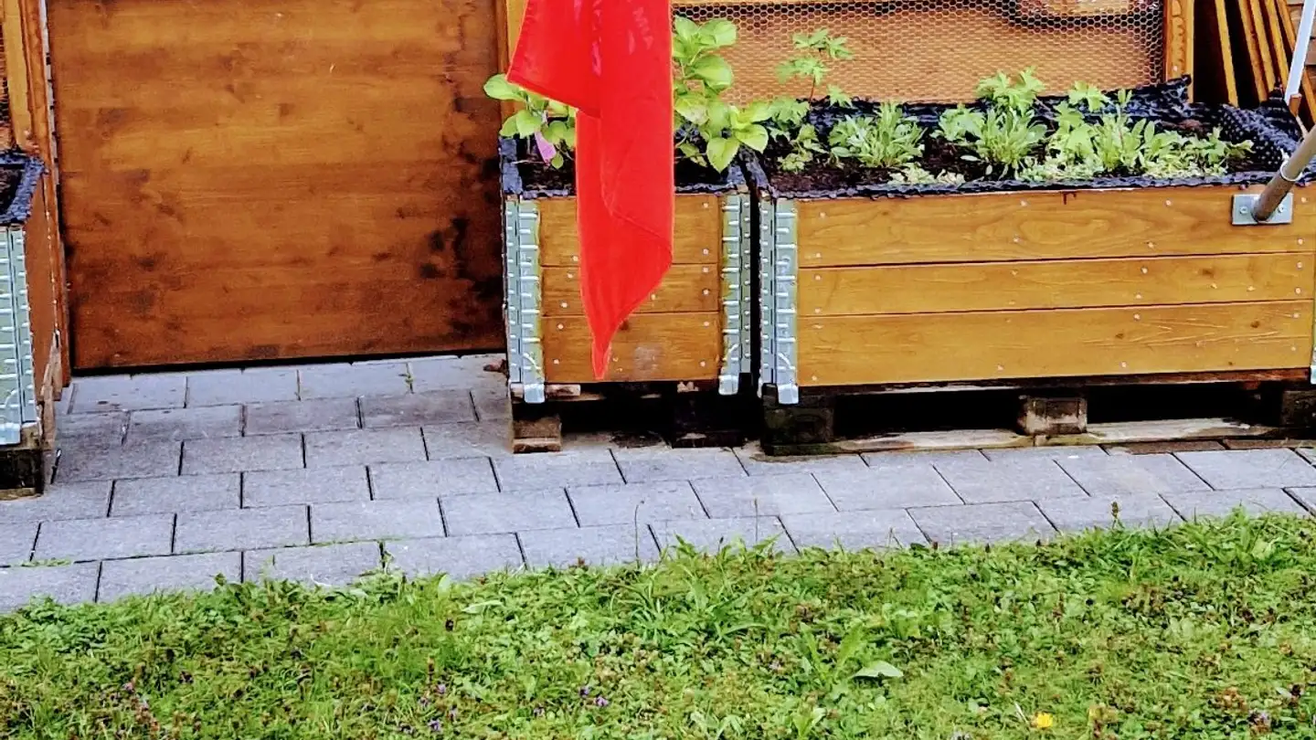 Apartment for rent - 3812 Wilderswil