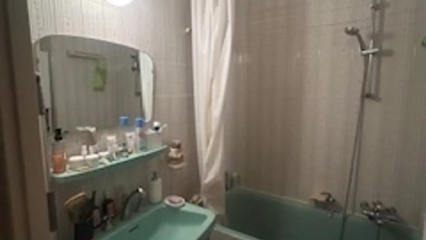 Appartamento ammobiliato in affitto - Route De Jussy, 1226 Thônex - Foto 4