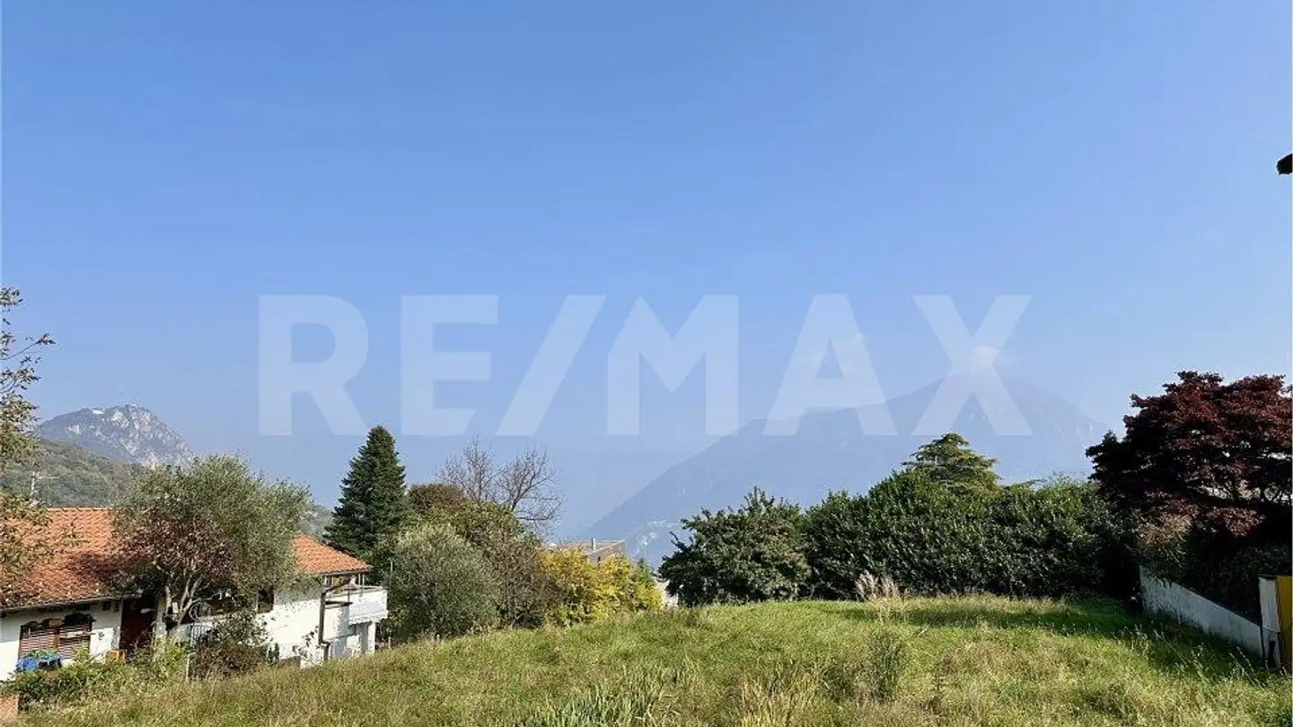 Agricultural business for sale - 6914 Carona